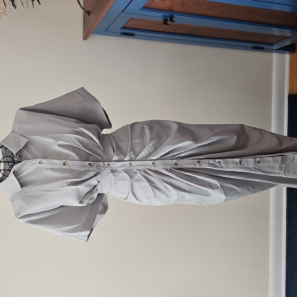 Elegant Gray Button-Down Ruched Dress - Picture 2 of 6